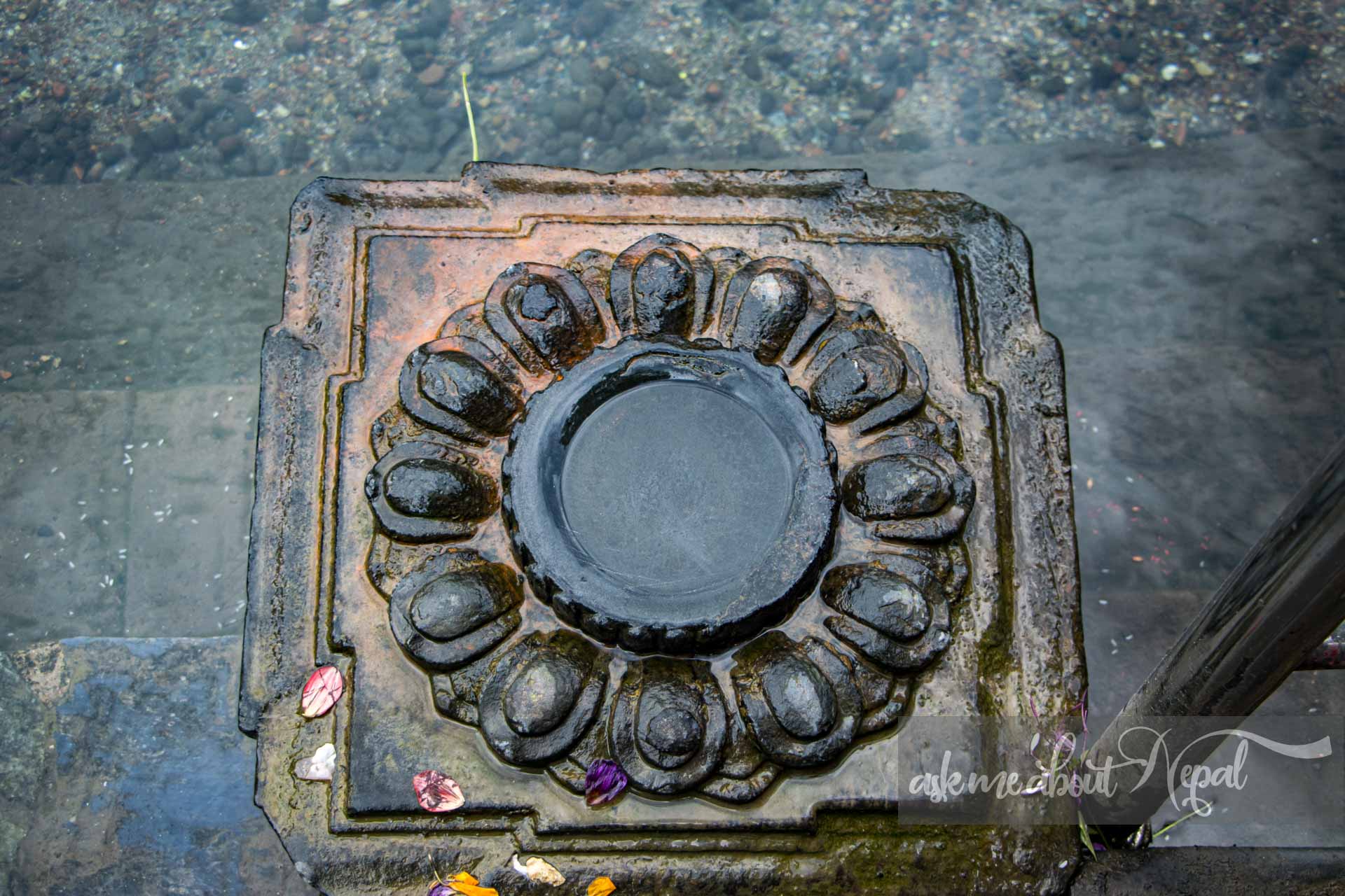 Sesh-Narayan-9764