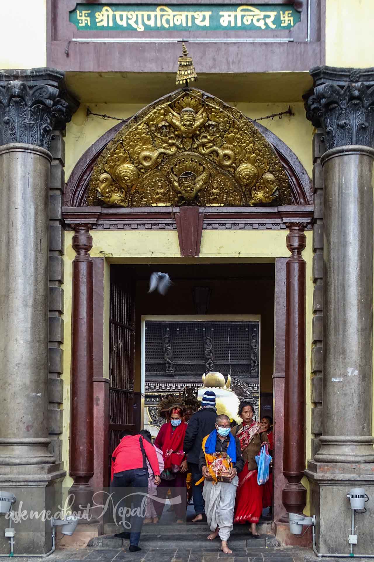 pashupatinath-09603